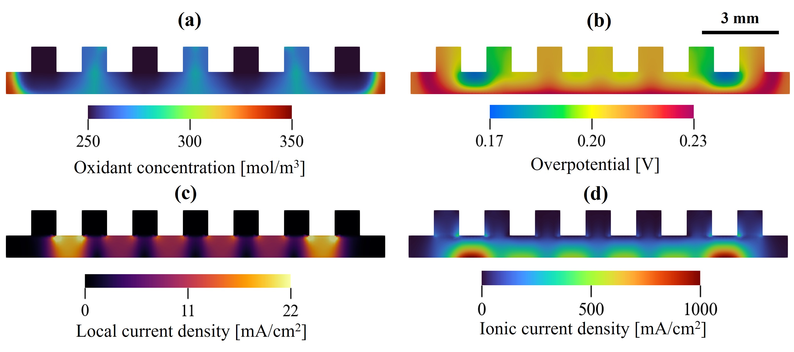 IDFF cross sections