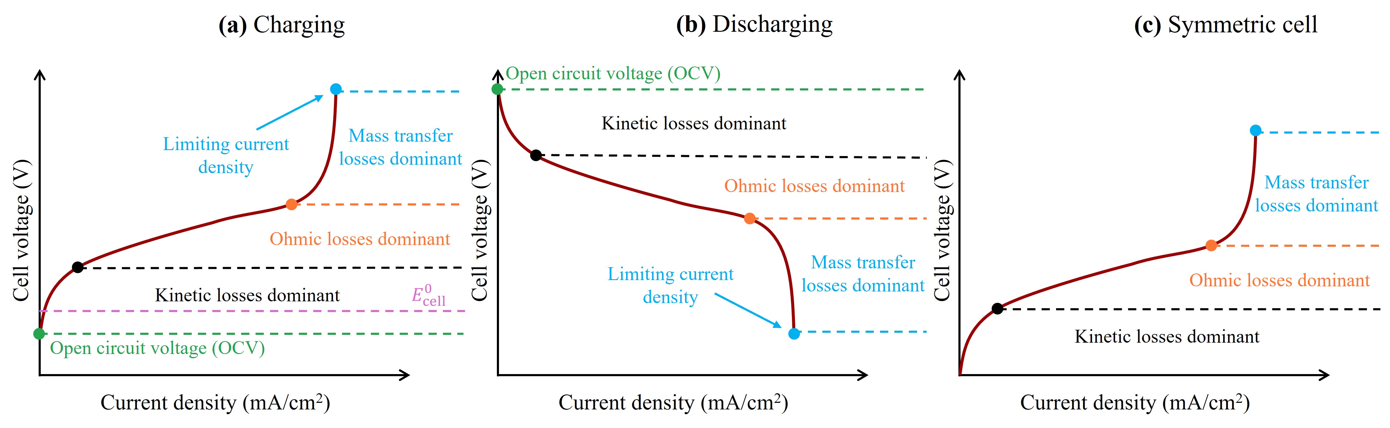 Polarization curve schematic