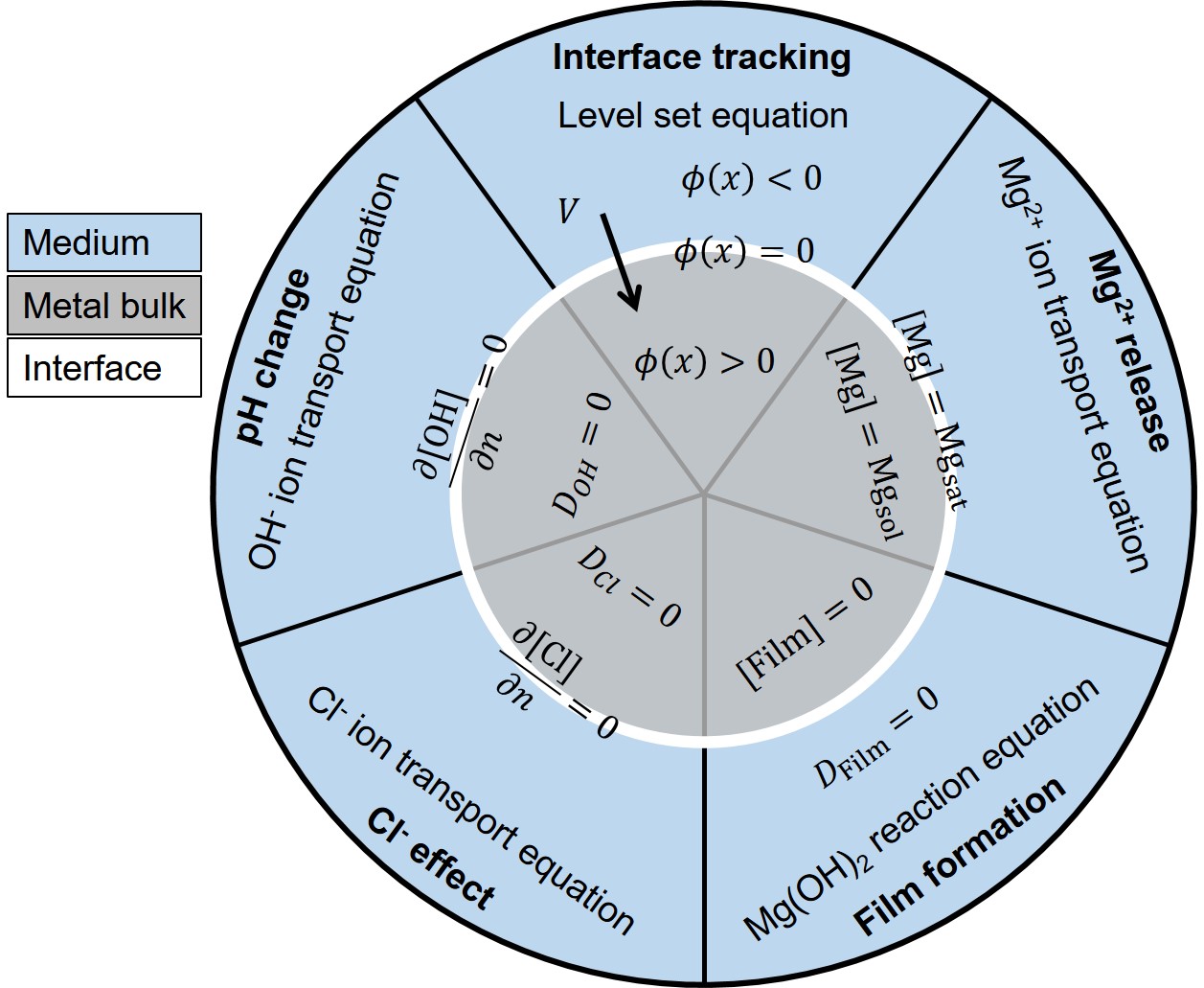 A schematic overview of the exposed boundary conditions and constraints required for the simulation of each equation of the developed mathematical model for Mg biodegradation.