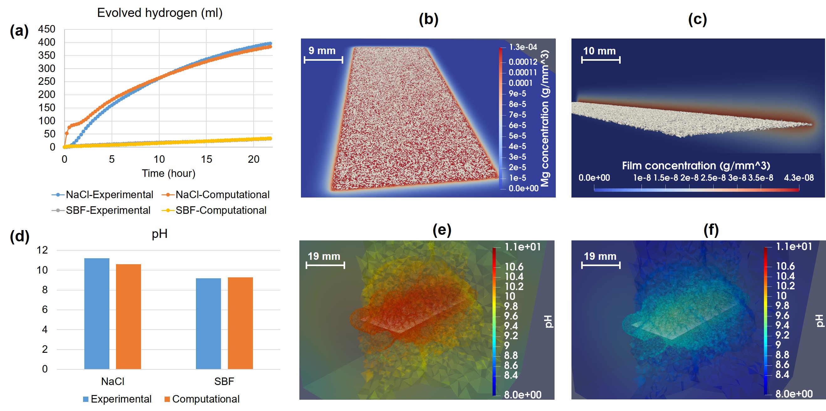 Comparing the quantitative output of the model for the rate of degradation and the pH changes in NaCl and SBF solutions with experimentally measured values as well as the simulation results for ion release, mass loss, protective film formation, and pH changes after 22 hours of simulated time: a) calibrated output of the formed hydrogen gas during the degradation (the SBF curves are overlapped), b) the simulation results of 