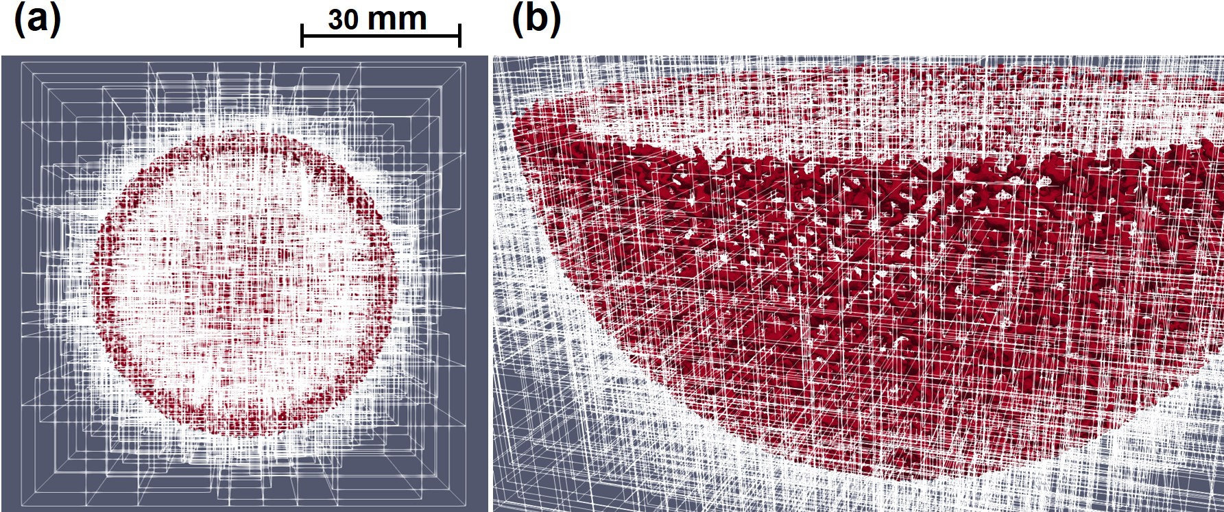 Mesh decomposition of the computational biodegradation model to be distributed to available computing nodes, a) top view, b) perspective side view. 