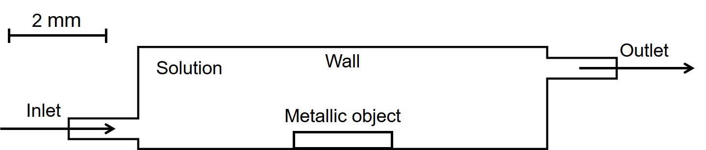 Schematic view of the model used for checking the effect of the fluid flow on biodegradation behavior.