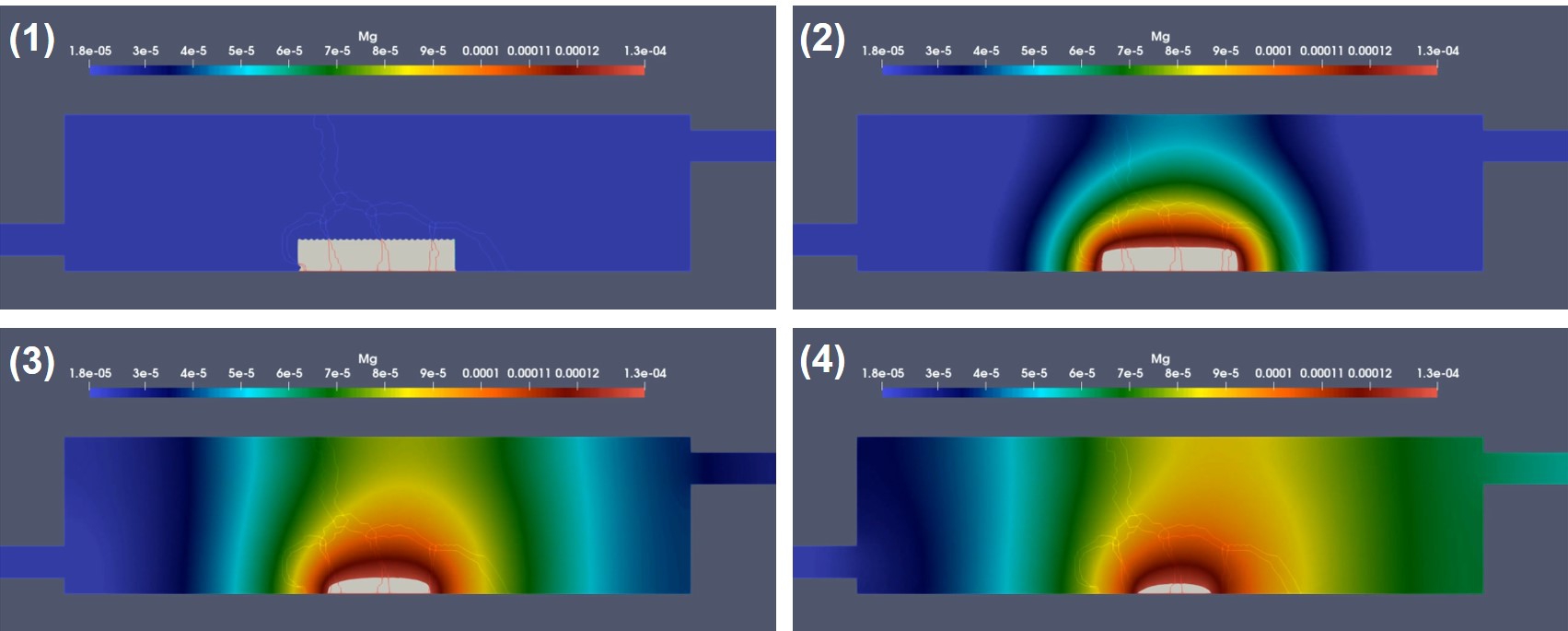 Visualization of the results of the biodegradation of an object inside the chamber in hydrodynamics conditions. Colors show the concentration of released metal ions getting convected in the direction of fluid flow. The light gray part shows the degrading object. The numbers (1) to (4) demonstrate the evolution of the simulation over time.