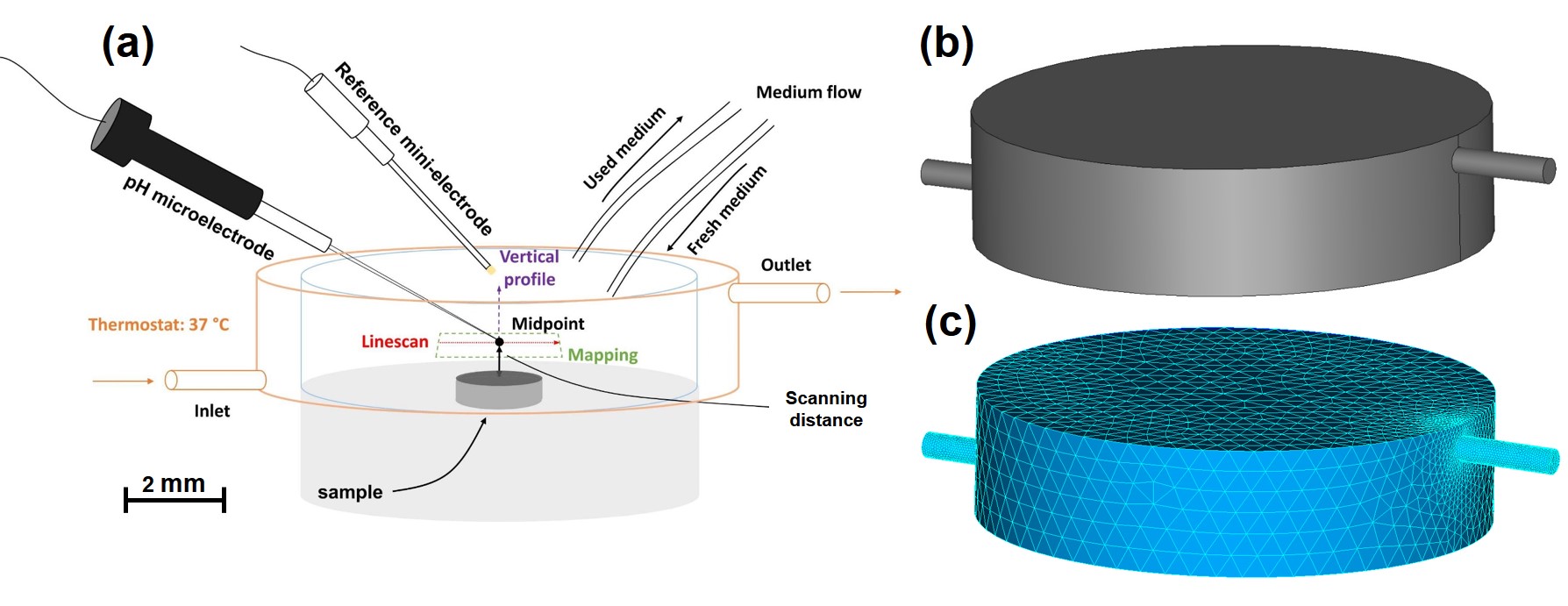 Experimental setup for validating the coupled biodegradation model