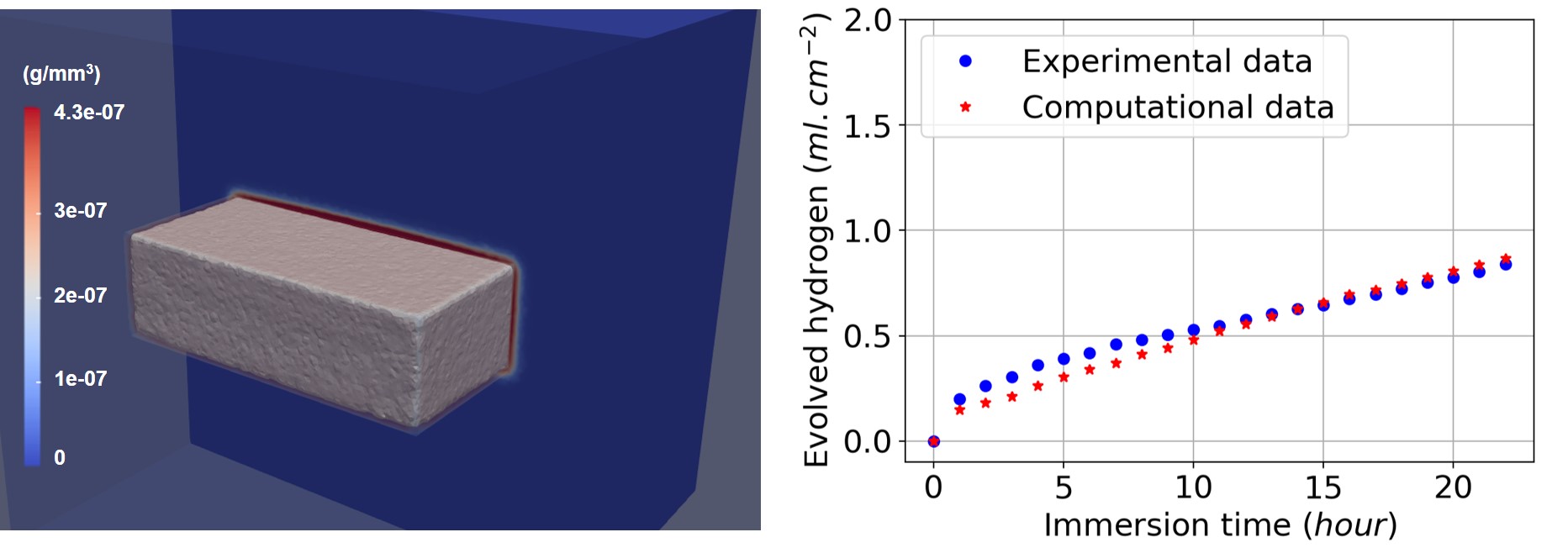 Numerical simulation result. Left: formation of a protective layer on the surface of the Mg block (red region). Right: comparison of the produced hydrogen (a surrogate for the material loss) in the computational model and the experimental data, which is a validation of the full model as both the reaction-diffusion equations and the level-set equation are involved in the computation of this quantity.