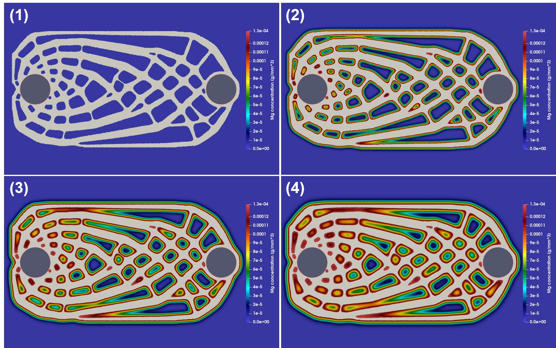 Visualization of the results of the biodegradation simulation for case 1, showing the degradation of the infilled structure and release of Mg ions over time. The colors depict the Mg ions concentration, and the numbers (1) to (4) demonstrate the evolution of the simulation over time.