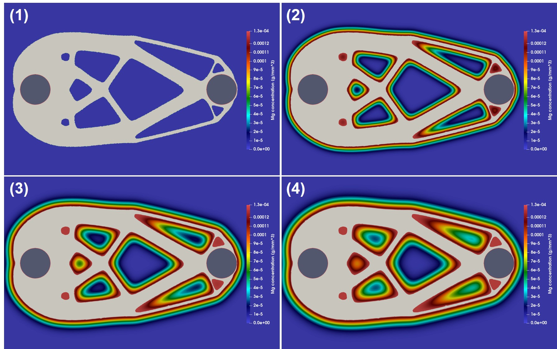 Visualization of the results of the biodegradation simulation for case 2, showing the degrading infilled structure and release of Mg ions over time. The colors depict the Mg ions concentration, and the numbers (1) to (4) demonstrate the evolution of the simulation over time.