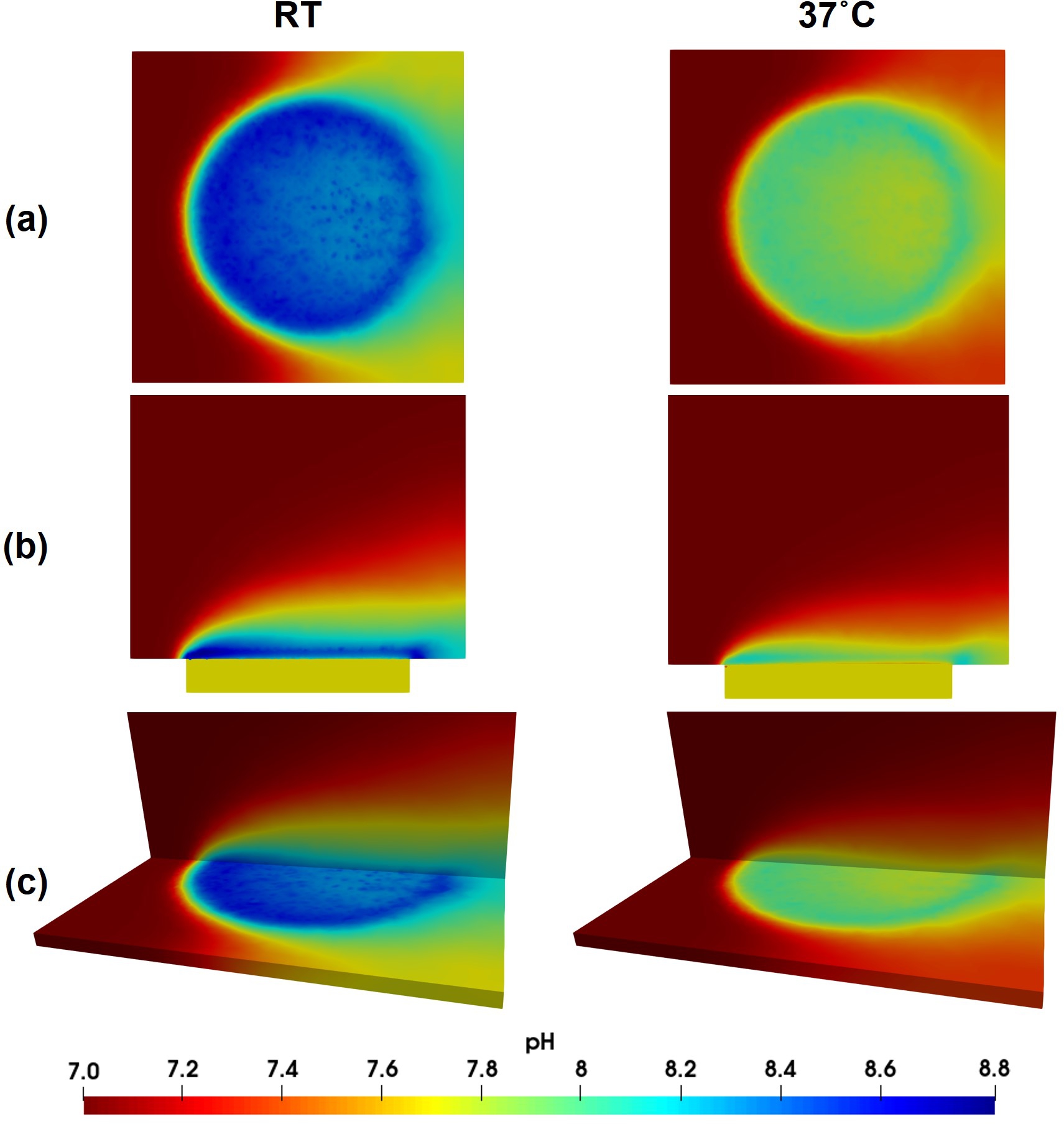 Simulation results for local pH predictions, depicting the local pH in a) top view from a horizontal cross-section, b) side view from a vertical cross-section, and c) perspective view with both the top and side cross sections, for simulations performed at 