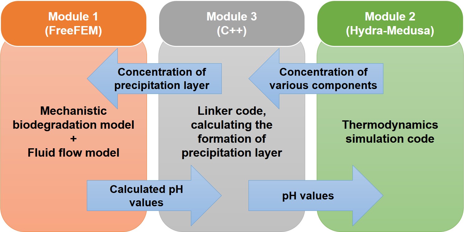 Schematic representation of the coupled modules for modeling of local pH changes, showing how they are connected as well as the programming languages and tools used for the implementation.