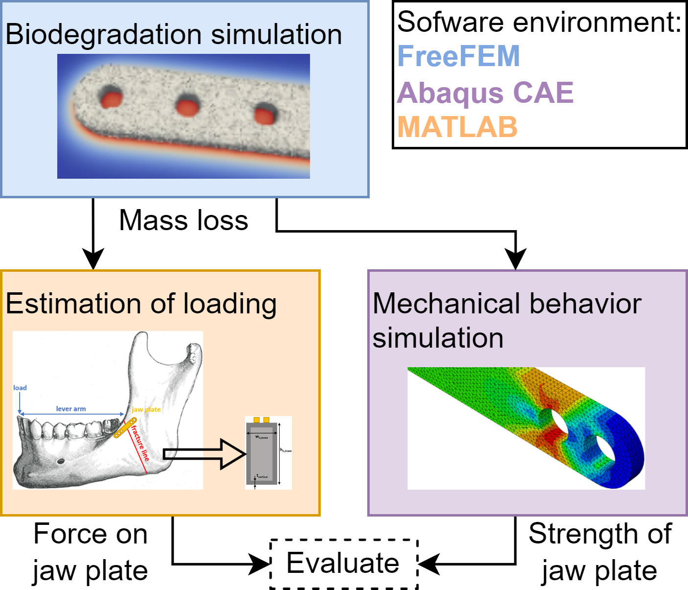 Coupling of the models and indication of software used.