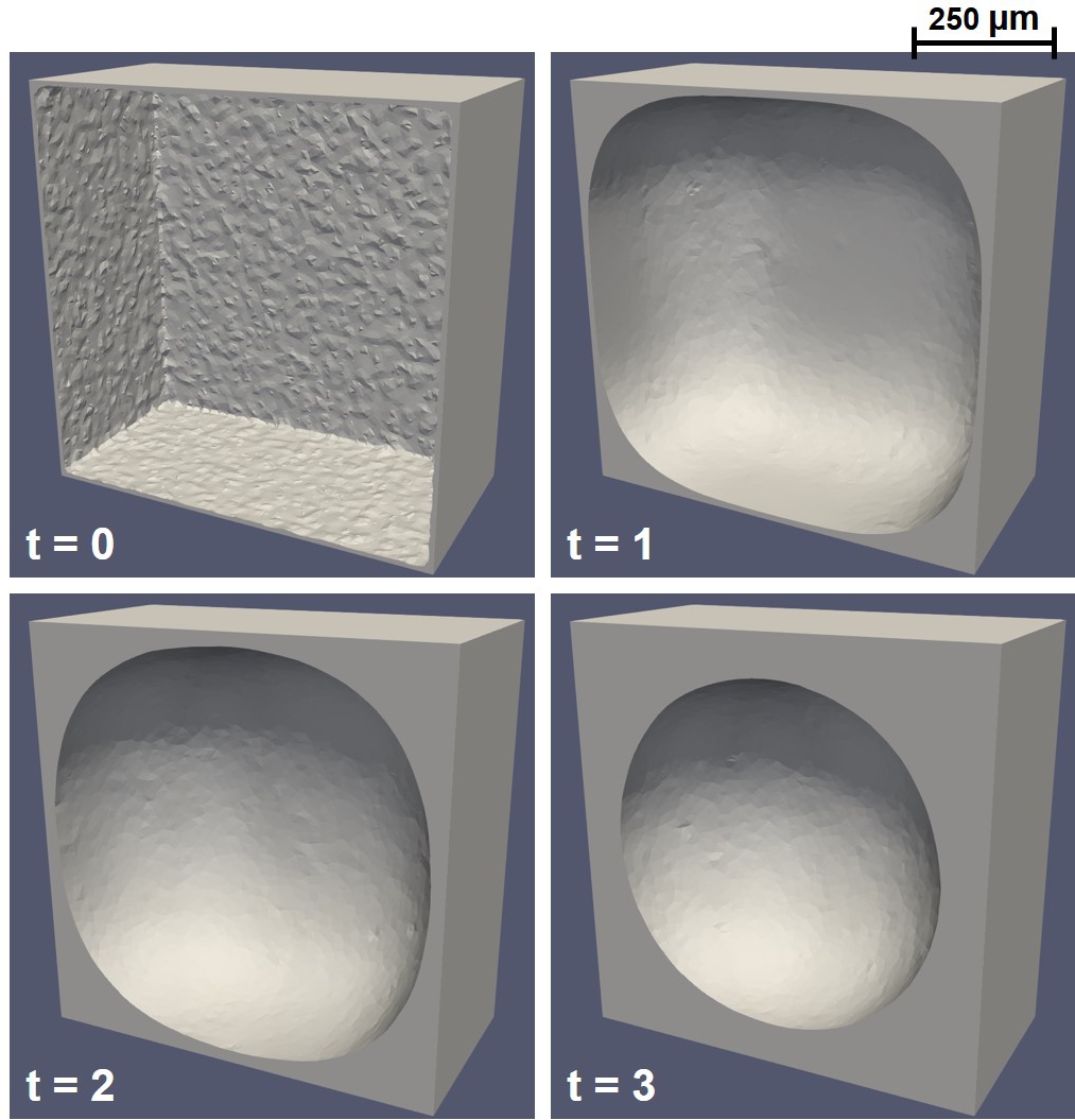 Simulation result of the level-set model for neotissue growth in a 3D cube domain, in which the positive regions of the level-set variable are visualized to show the formation of neotissue over non-dimensionalized time.