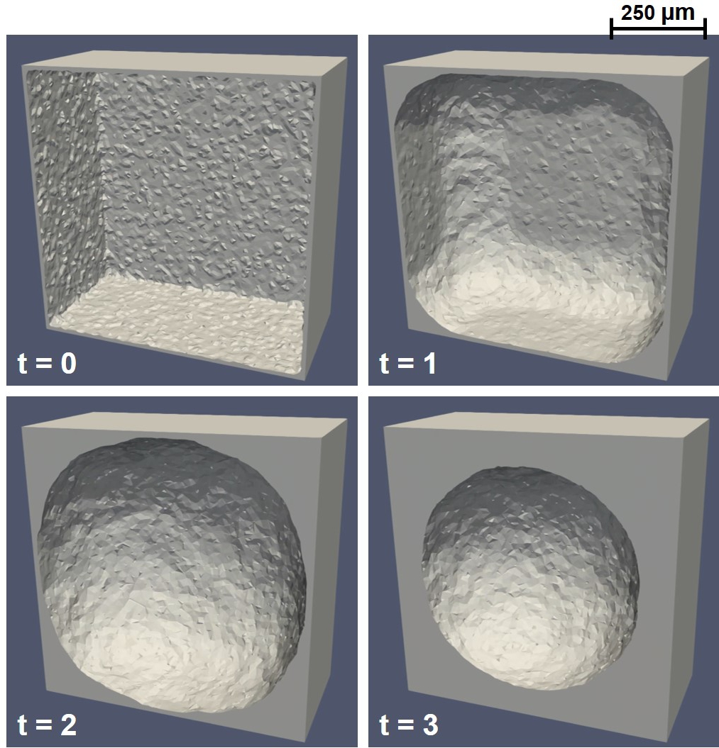 Simulation result of the phase-field model for neotissue growth in a 3D cube domain, in which the +1 regions of the phase-field variable are visualized to show the formation of neotissue over non-dimensionalized time.