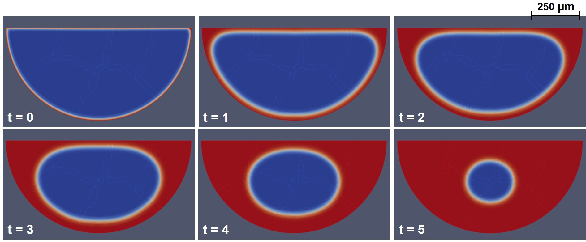 Visualization of the evolution of phase-field variable in the semi-circle domain. The evolution is depicted over time in an arbitrary unit, occurring from top to bottom and from left to right in each row. The red, blue, and white show the +1 region, -1 region, and the transient phase representing the interface, respectively.