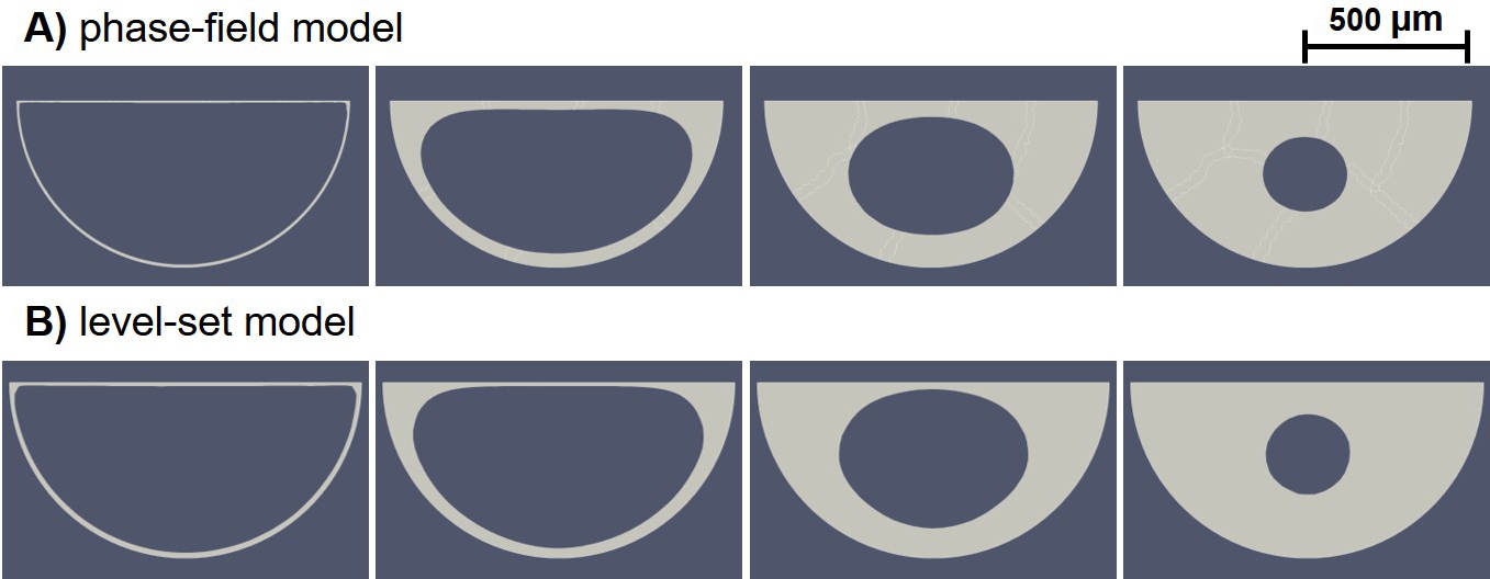 Simulation result of the phase-field (A) and the level-set (B) models for neotissue growth in the semi-circle domain. The evolution occurs from left to right over non-dimensionalized time.