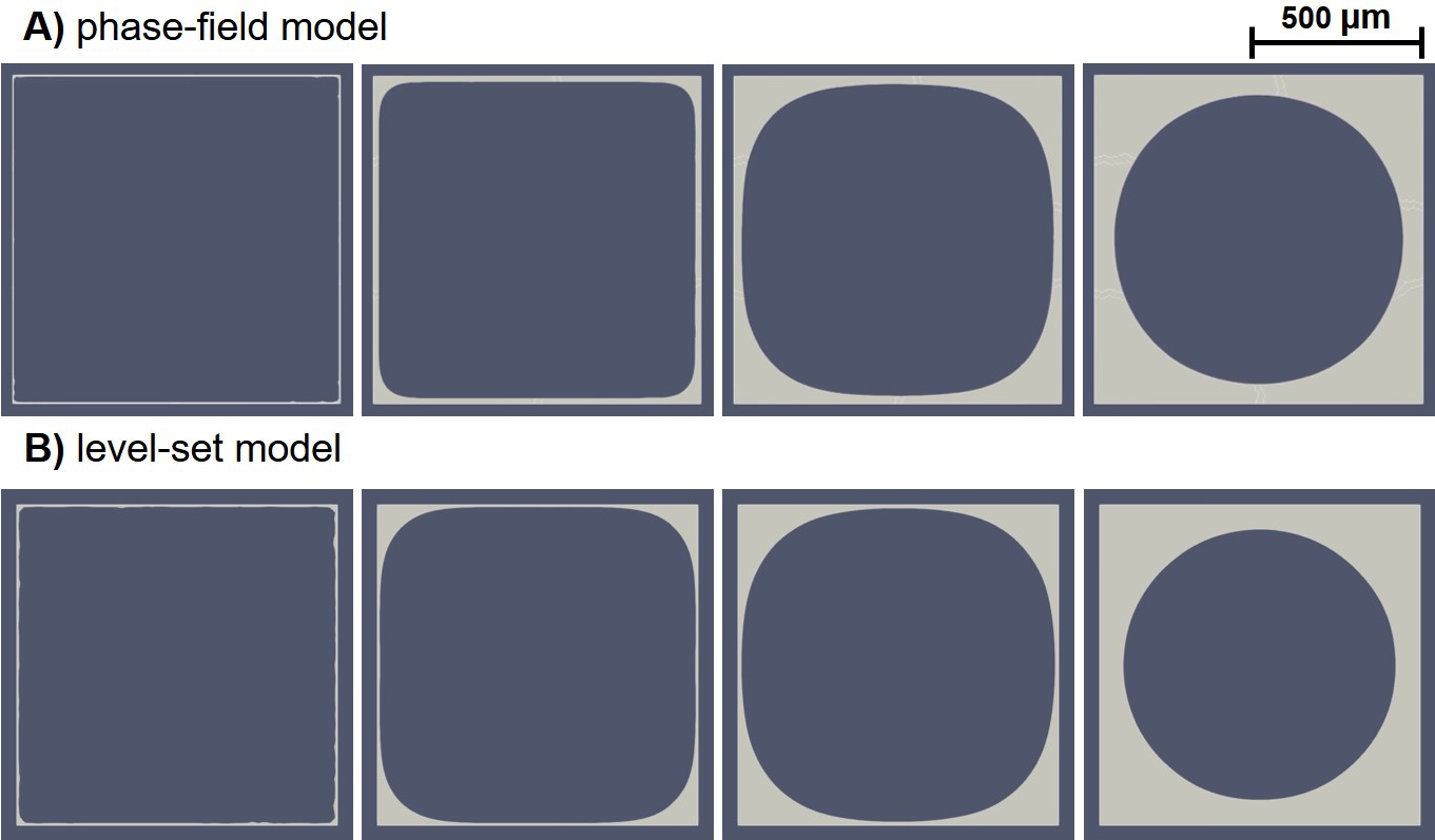 Simulation result of the phase-field (A) and level-set (B) models for neotissue growth in the square domain. The light gray region shows the +1 part of the phase-field variable and the positive part of the distance function for the phase-field (A) and level-set (B) models, respectively. The evolution occurs from left to right over non-dimensionalized time.